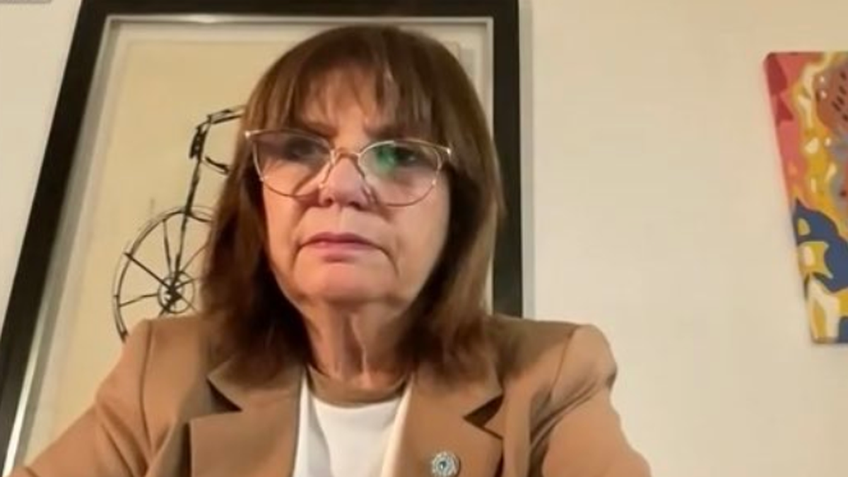 Desmienten a Patricia Bullrich tras decir que en las universidades casi la mitad de la matrícula la ocupan extranjeros. (Captura de video)