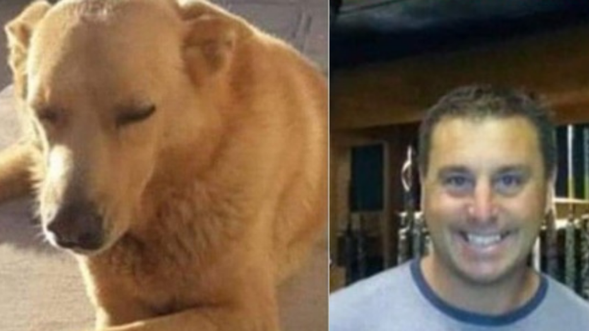 Un hombre recibió una condena por torturar y asesinar a un perro en Mar del Tuyú