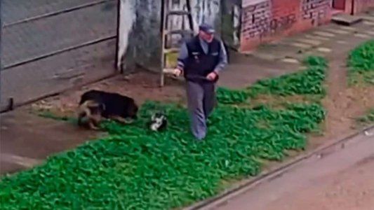 Video indignante: denuncian a vecino de Gualeguay por maltrato animal
