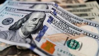 Dólar oficial y dólar blue: la divisa paralela cerró la semana con una leve suba