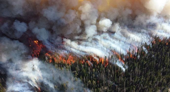 Los grandes incendios de África no se comparan con el Amazonia