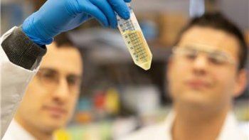 Un estudio científico demuestra que todos los infectados por COVID-19 desarrollan anticuerpos que evitarían el recontagio