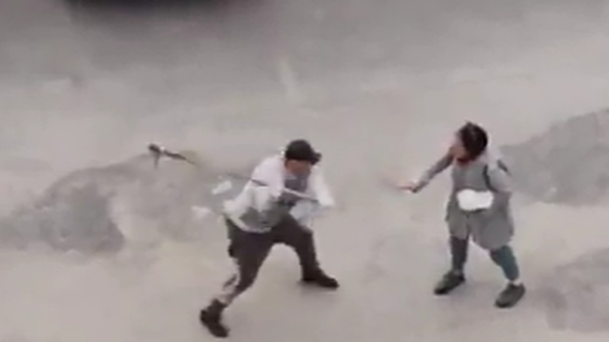 El momento de la agresión. (Foto: captura)