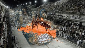Dengue: Río de Janeiro declara la emergencia y se teme por la organización del Carnaval
