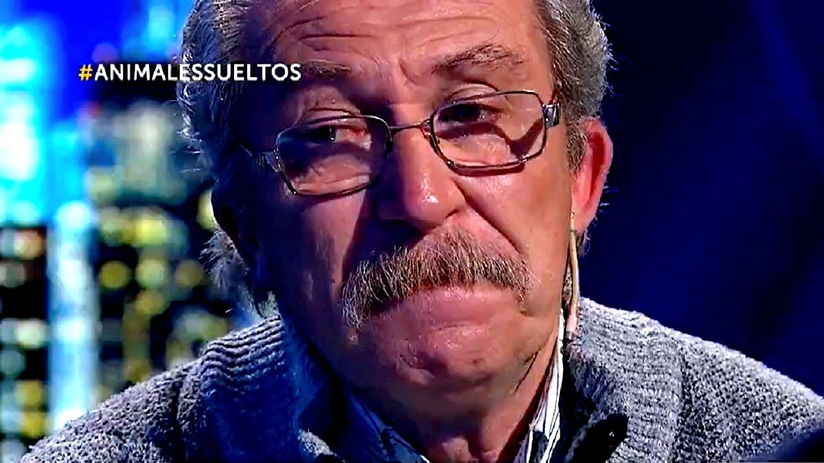 Luis Mora habló con el programa Animales Sueltos. Foto: captura de Tv.