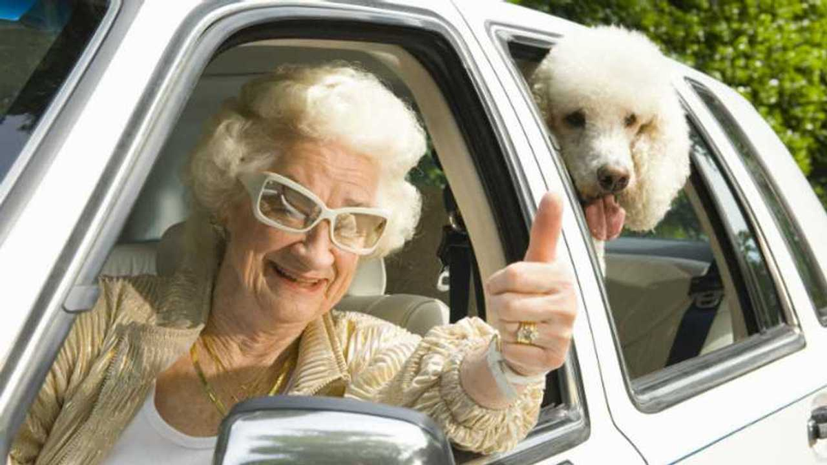 Jubilaciones ANSES: quiénes podrán jubilarse antes de los 60 años en 2024 Jubilaciones ANSES: quiénes podrán jubilarse antes de los 60 años en 2024