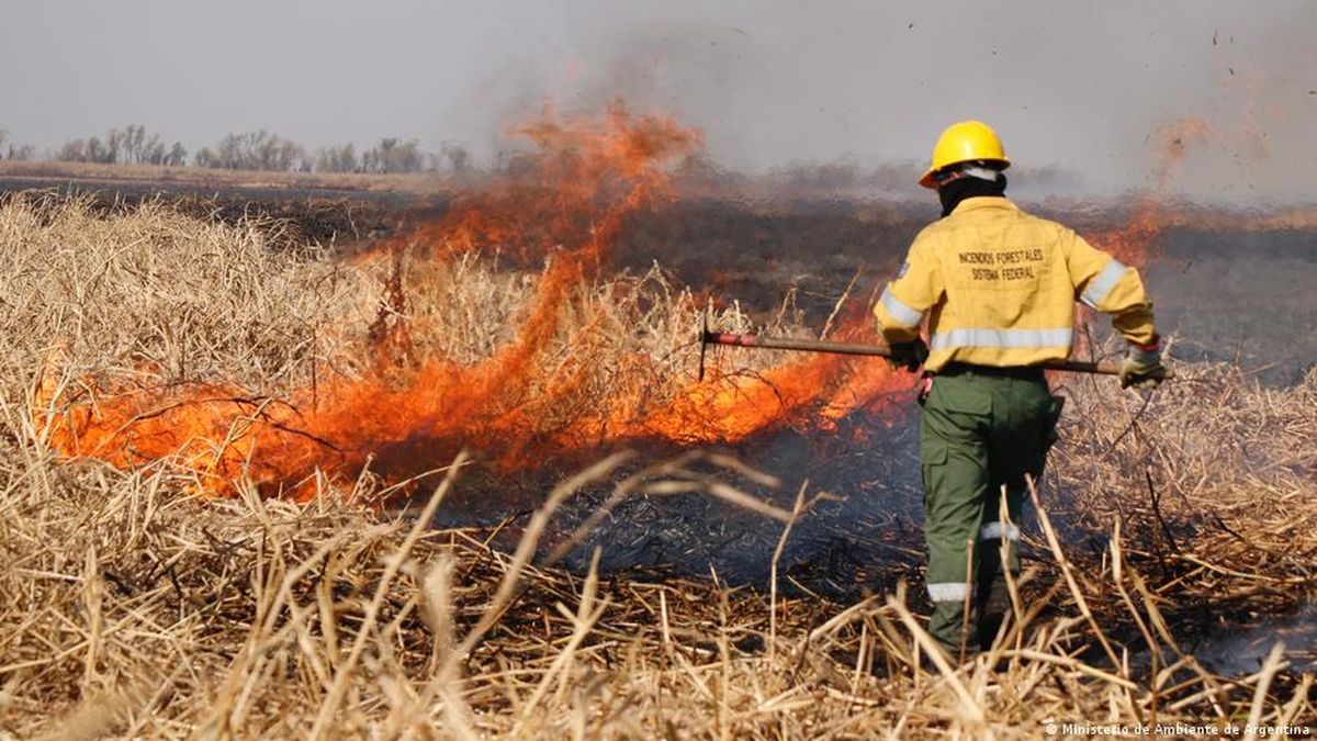 Los incendios en Corrientes se llevaron centenares de miles de hectáreas. 