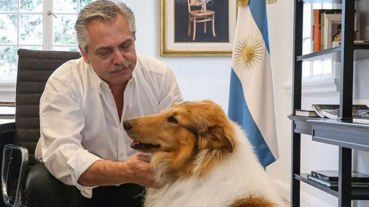 Fantino hizo una dura calificación de Alberto Fernández por la decisión que tomó con su perro