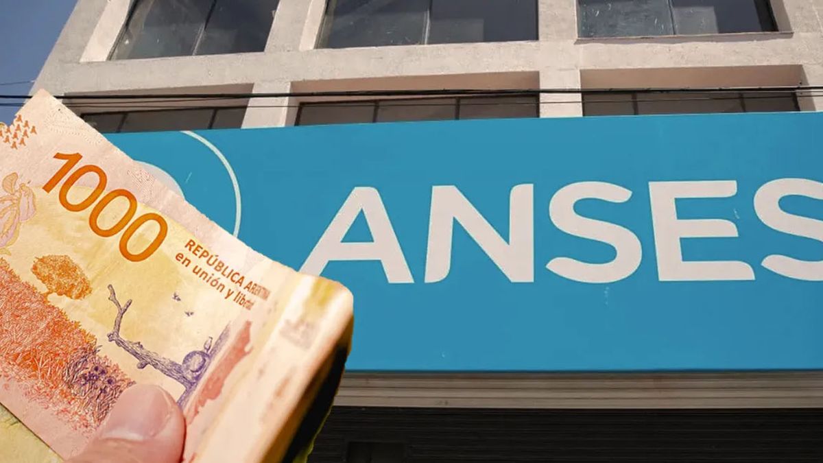 ANSES confirmó que en JUNIO pagará un bono superior a los $ 50.000: quiénes lo cobran (Foto: archivo)