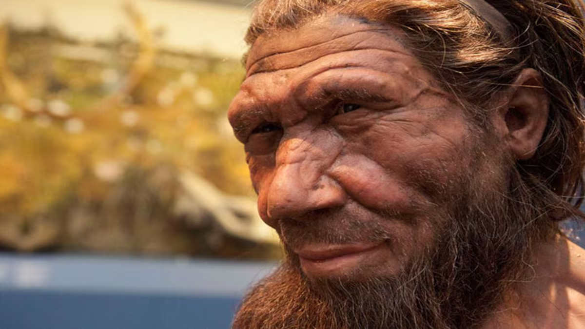 Hallazgo sin precedentes: encuentran un artefacto de 45.000 años que reescribe la historia de la humanidad