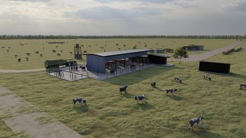 Premios para las vacas, tráfico libre y robots de ordeñe: los detalles del primer tambo energéticamente sustentable del país