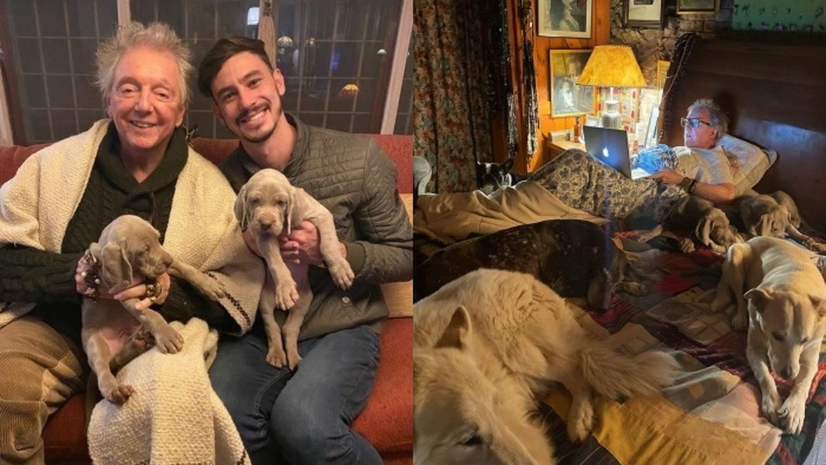 Pepe Cibri&aacute;n y Nahuel Lodi agrandaron la familia, adoptando dos cachorros de weimaraner que se suman a los 4 perros que ya ten&iacute;a el director teatral.&nbsp;