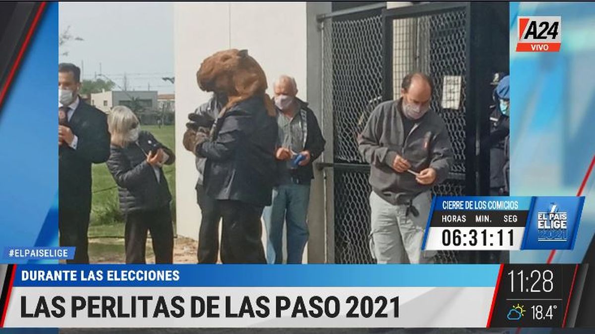 PASO 2021: las perlitas a la hora de votar en las escuelas. (Captura de Tv)
