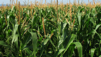 Entre Ríos busca acelerar el debate legislativo sobre buenas prácticas agrícolas y uso de agroquímicos