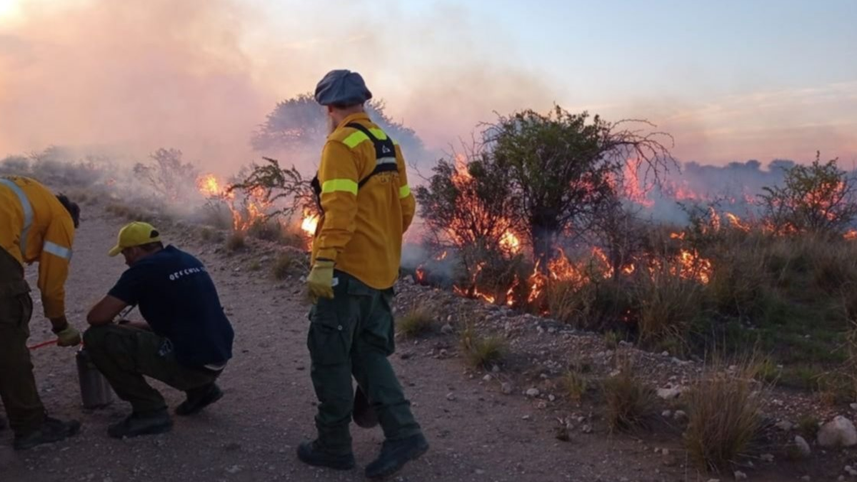 La Pampa es la única provincia con un foco de incendio forestal activo en el país. (Foto: captura)