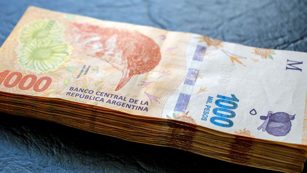 NUEVA TASA de interés para el PLAZO FIJO: cuánto gano depositando $575 mil (Foto: archivo)