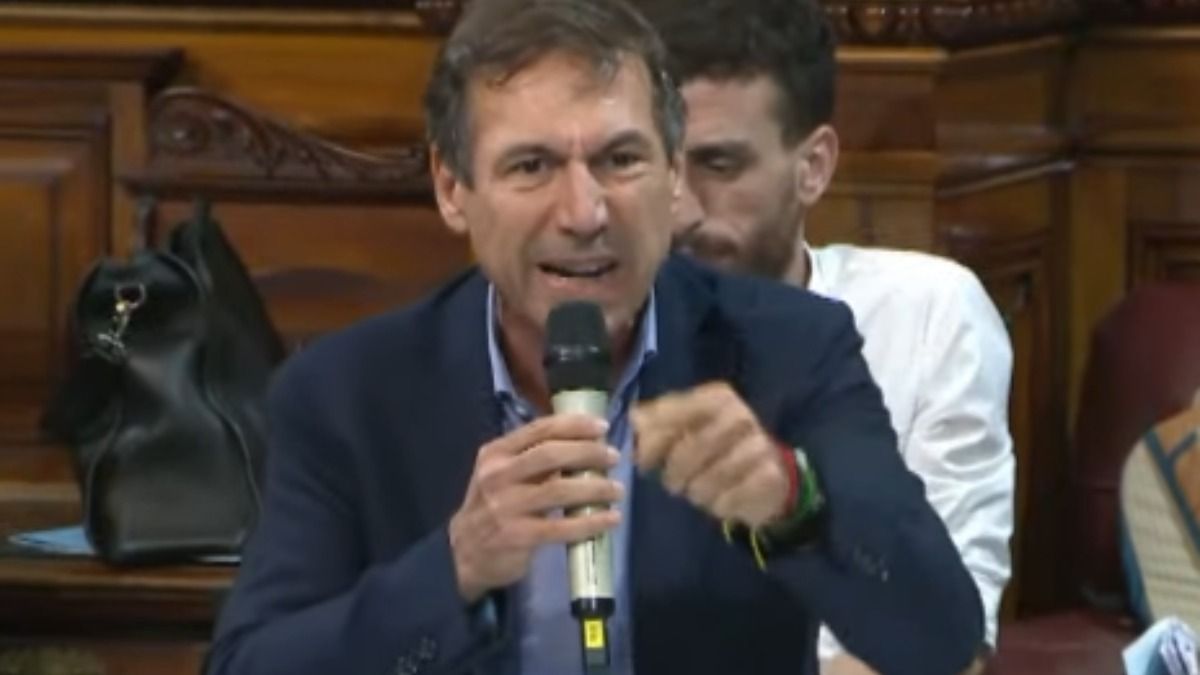 El senador Luis Naidenoff arremetió contra Juan Cabandié en el Senado. (Captura TV)