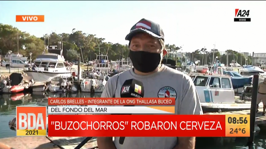 Mar del Plata: ladrones robaron 600 litros de cerveza que se maceraban en el fondo del mar