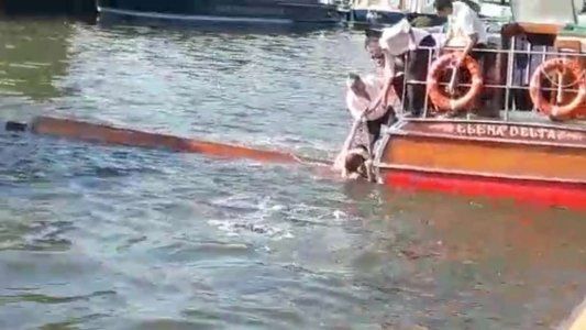 Murió la mujer atropellada cuando hacía kayak en el Tigre