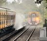 Incendio en una formación del tren Urquiza: evacuaron a los pasajeros y suspendieron el servicio