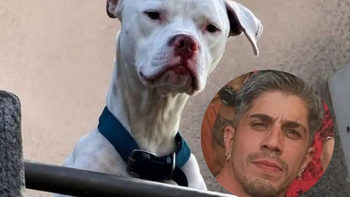 Se supo qué pasó con el perro de Claudio Barrelier, el único detenido por el femicidio de Agostina Vega