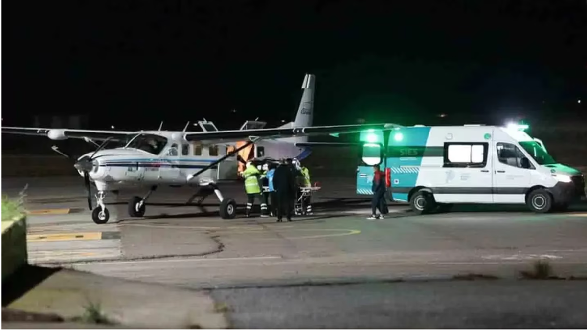 Bahía Blanca: un nene fue atacado por tres perros Rottweiler