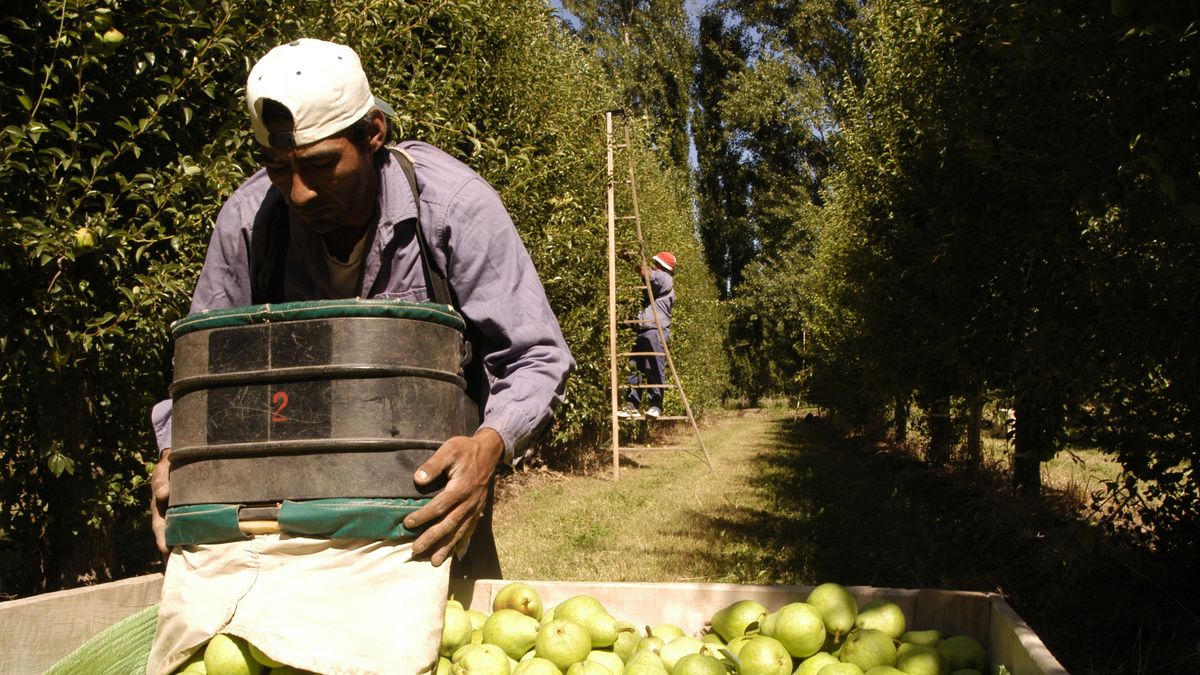 El bono es para trabajadores rurales permanentes. El acuerdo no cayó bien entre algunos productores agropecuarios. 