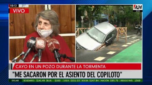 Lo que dejó el temporal: árboles caídos y un auto cayó a un pozo