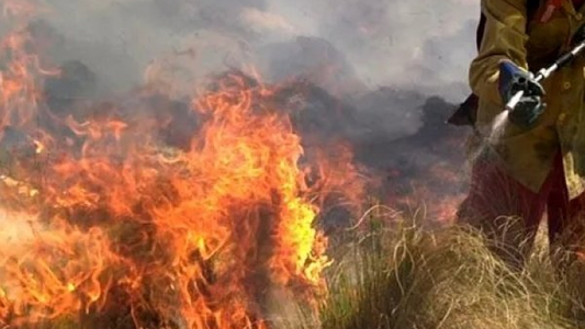 Incendios forestales: Rosario y la dolorosa vida frente al fuego