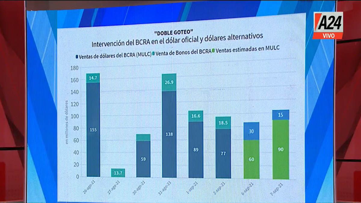 El BCRA viene vendiendo US$100 millones por día, a ese ritmo no llega a noviembre con reservas (Foto: Captura de TV)