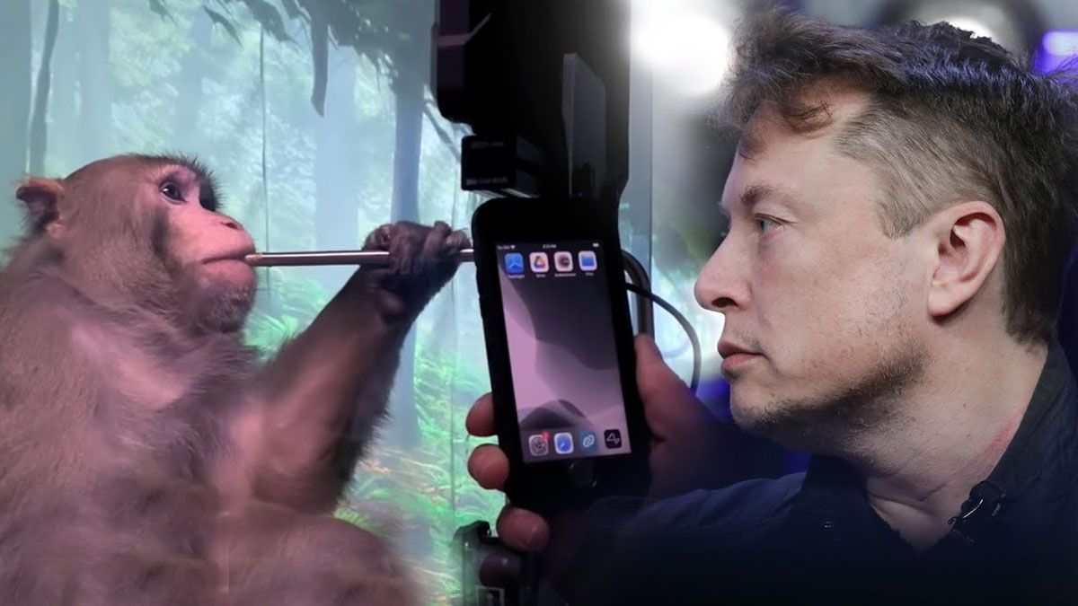 Musk y la idea de implantar chips en cerebros humanos, con un inconveniente inesperado (Foto: gentileza RoadTovr).