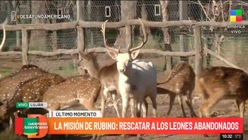 Zoo de Luján: clausura, denuncias por abandono de animales y una grave denuncia