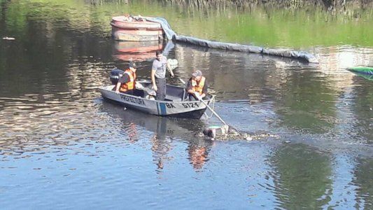 Identificaron en el Riachuelo dos virus nunca antes vistos en la Argentina