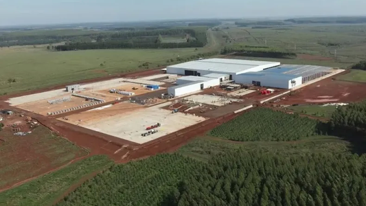 Invierten $250 millones en la puesta en marcha de planta forestal