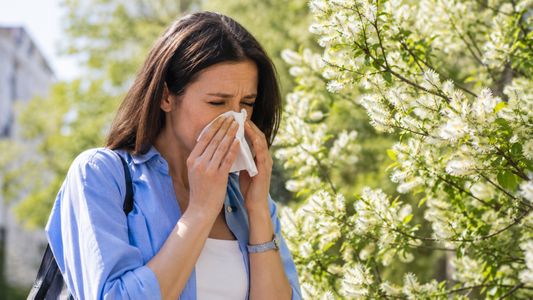 Cómo evitar las alergias que producen los plátanos en primavera
