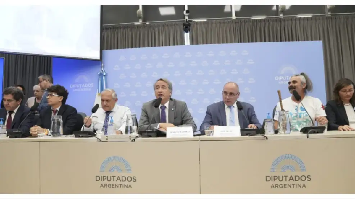 Ley de Glaciares: sigue el debate tras una jornada tensa