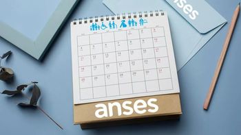 AUH, AUE y SUAF ANSES con AUMENTO: cuánto y cuándo cobro (Foto: archivo) AUH, AUE y SUAF ANSES con AUMENTO: cuánto y cuándo cobro (Foto: archivo)