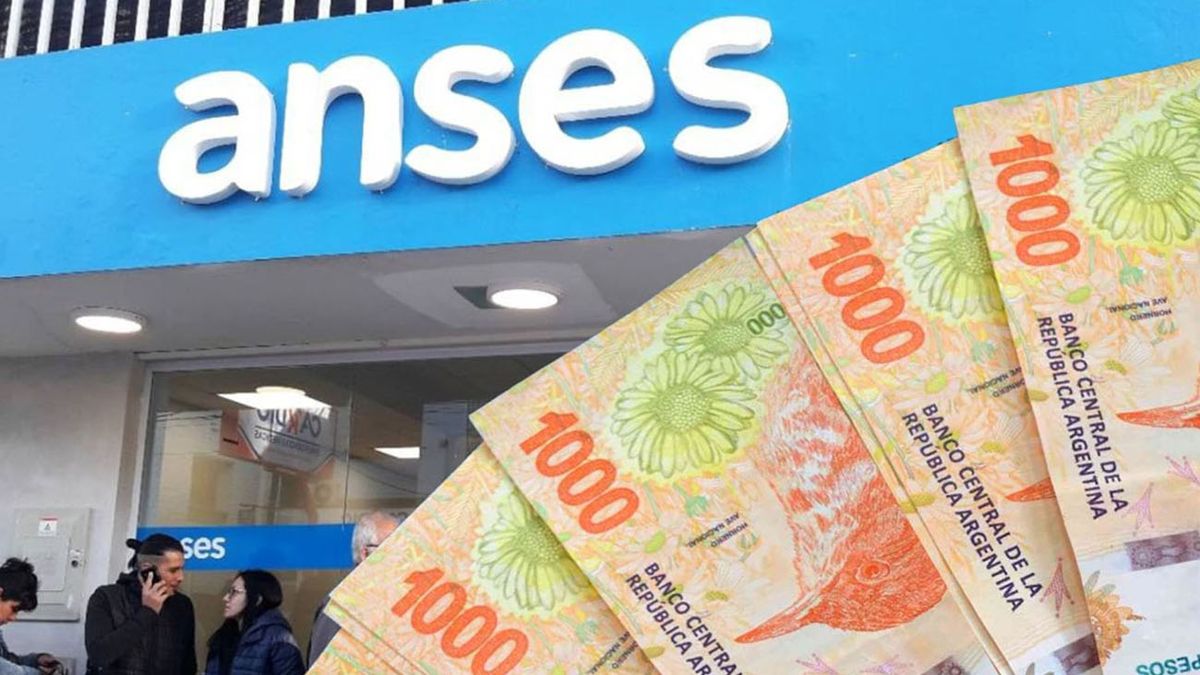 ANSES paga en JUNIO 2024 un EXTRA de $43.334: los requisitos para acceder (Foto: archivo)