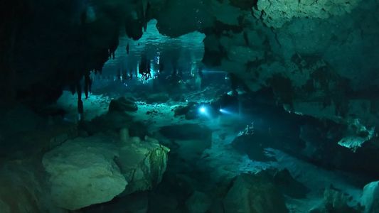 Encontraron muerto a un experimentado buzo argentino en México: cómo fueron sus últimos minutos con vida