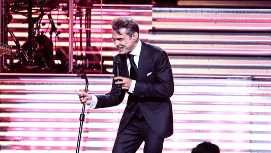 Luis Miguel y su doble: en medio de las dudas, se dio un anuncio muy importante