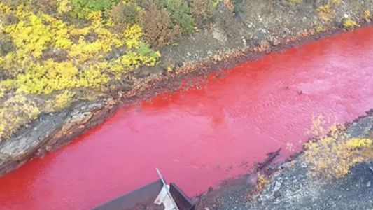 Imágenes inéditas del Río Nilo teñido de rojo: las razones del extraño fenómeno