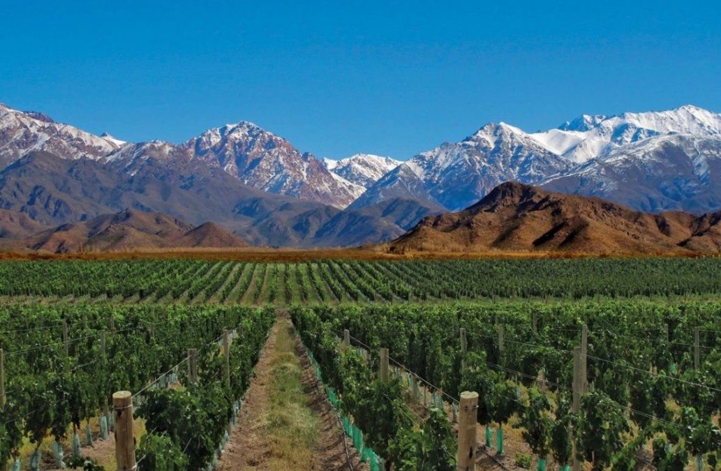 ¿Qué hacer en Mendoza?