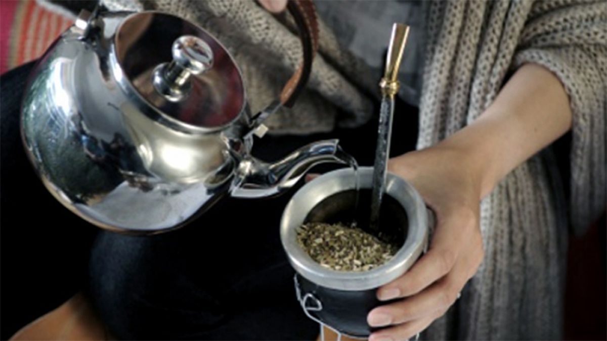 El mate ayudaría a reducir el riesgo de padecer Parkinson