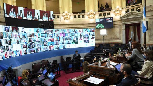 El Senado aprobó por unanimidad el proyecto de ley sobre Educación a Distancia