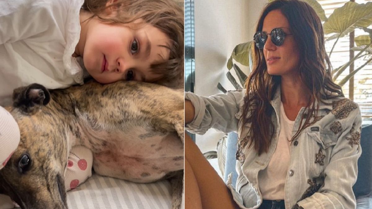 Paula Chaves mostró su emotiva despedida de la perra Matilda, que fue adoptada por otra famosa: Dar amor y soltar