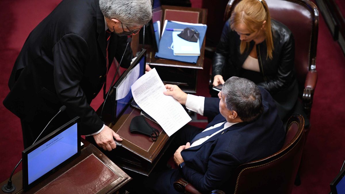 El Senado dio media sanción a la reforma del Consejo de la Magistratura. (Télam)