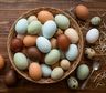 Qué indica el color de la cáscara del huevo y qué no dice sobre su calidad