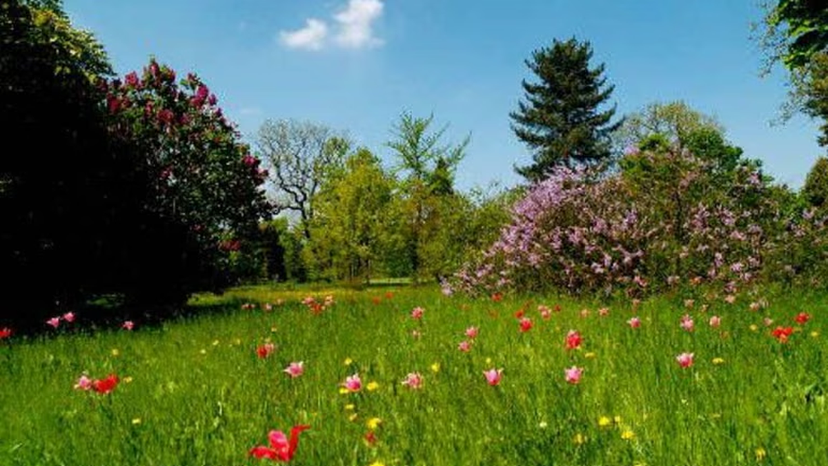 Las infusiones amargas y la carga solar son las claves holísticas para resetear el cuerpo el 21 de septiembre. Foto: Astrología y salud. Primavera. Las infusiones amargas y la carga solar son las claves holísticas para resetear el cuerpo el 21 de septiembre. Foto: Astrología y salud. Primavera.