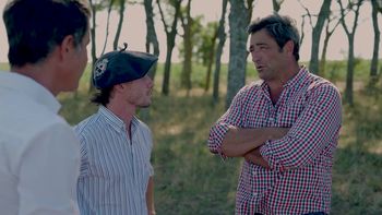 Desde Gualeguay, el maíz crece gracias a un servicio de agricultura de precisión en nutrición