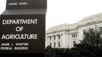 Tras el informe del USDA, el mercado se ilusiona con la demanda instantánea china